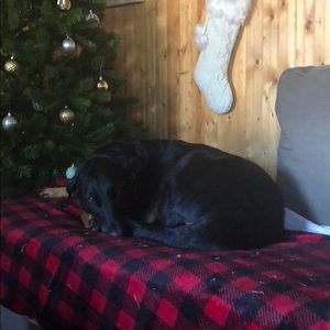 Meet your Posher, Laetitia